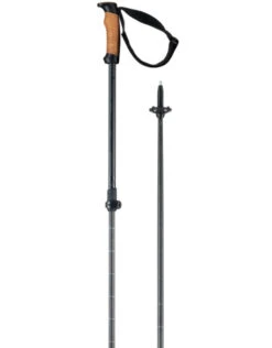 Elan Voyager Vario Stok