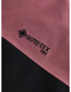 Peak Performance Vislight Gore-Tex Pro Dames Skibroek Rose Brown -Peak Performance || Salomon || Fischer Winkel peak performance vislight gore tex pro dames skibr 5